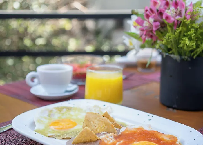 Circulo Condesa 4* Mexico City